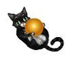 Кот с мячом для аналога игры Sims
